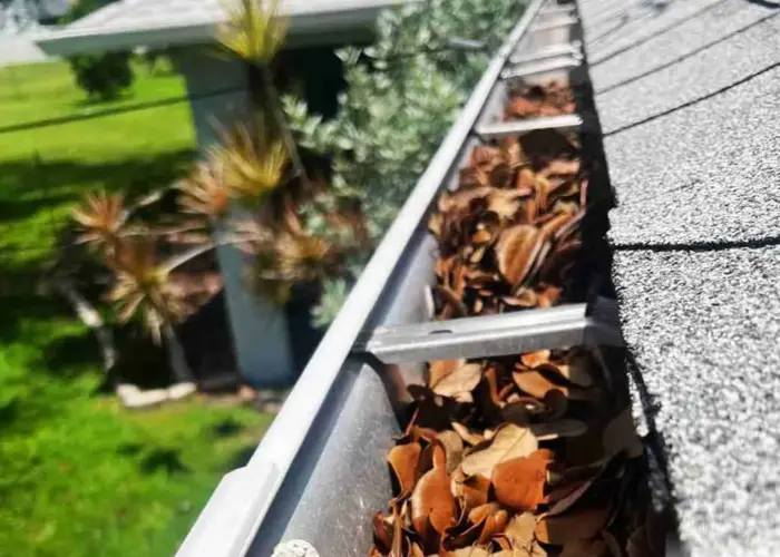 Coral Springs gutter cleaning home page